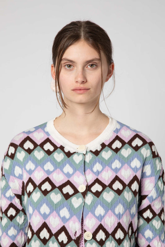 Cardigan Rainbow
