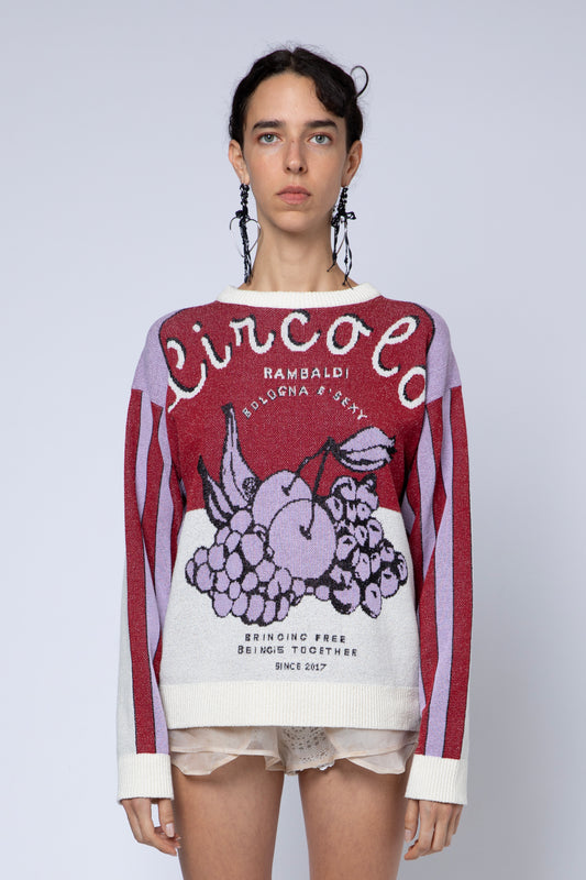 Maglia jacquard Circolo Rambaldi